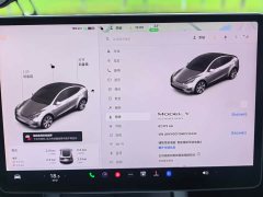 Tesla Model Y 2021 Standard Range RWD - ფოტო 6