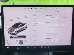 Tesla Model Y 2021 Standard Range RWD - ფოტო 7
