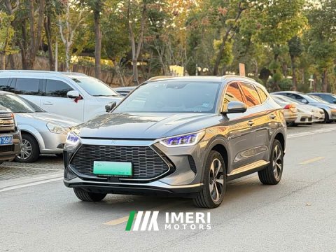 2022 BYD Song Plus New Energy 2021 DM-i 51KM Premium Edition - ავტომობილი ჩინეთიდან