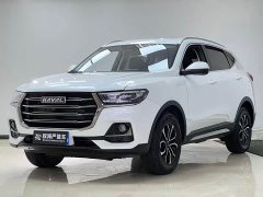 Haval H6 2021 National Trend Edition 1.5T Automatic Urban Version - ფოტო 1