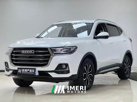 2023 Haval H6 2021 National Trend Edition 1.5T Automatic Urban Version - ავტომობილი ჩინეთიდან