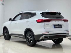 Haval H6 2021 National Trend Edition 1.5T Automatic Urban Version - ფოტო 6