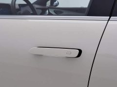 BYD Dolphin 07 DM-i 1.5L 125km Luxury - ფოტო 18