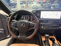 Lexus ES 200 Premium Edition - ფოტო 12