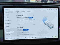 BYD Dolphin 06 DM-i Touring DM-i 150KM Flagship - ფოტო 10