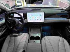 BYD Dolphin 06 DM-i Touring DM-i 150KM Flagship - ფოტო 15