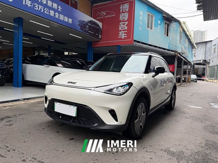 Smart #1 Pro Edition