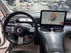 Smart #1 Pro Edition - ფოტო 11