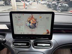 Smart #1 Pro Edition - ფოტო 9