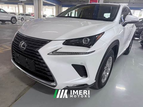 2021 Lexus NX 2020 200 AWD Sharp Luxury Edition National V - ავტომობილი ჩინეთიდან