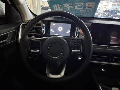 Lexus Cannon 2023 2.0T Passenger Auto Gasoline AWD Deluxe GW4C20B - ფოტო 14