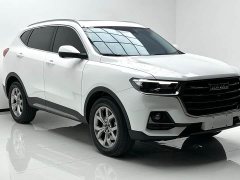 Haval H6 2021 National Trend 1.5T Automatic Champion Edition - ფოტო 3