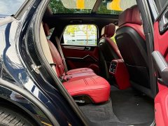 Porsche Cayenne 3.0T Platinum Edition - ფოტო 20