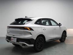 Dongfeng Hafei Fengxing T5 EVO Kuangbiao Edition 1.5TD DCT Golden Edition - photo 18