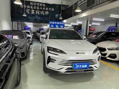 BYD Song Plus New Energy DM-i 110km Flagship Honors Edition - ფოტო 3