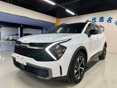 Kia Lion Platinum Tuojie Lion Prat Tuojie 2.0L HEV Two-Wheel Drive Premium Edition - photo 1