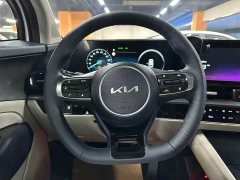 Kia Lion Platinum Tuojie Lion Prat Tuojie 2.0L HEV Two-Wheel Drive Premium Edition - photo 10