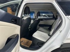 Kia Lion Platinum Tuojie Lion Prat Tuojie 2.0L HEV Two-Wheel Drive Premium Edition - photo 6