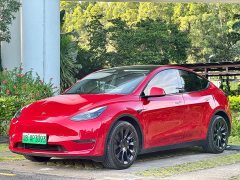 Tesla Model Y Long Range All-Wheel Drive - ფოტო 1