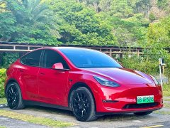 Tesla Model Y Long Range All-Wheel Drive - ფოტო 3