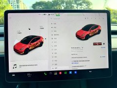 Tesla Model Y Long Range All-Wheel Drive - ფოტო 6