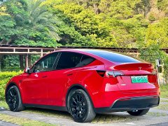 Tesla Model Y Long Range All-Wheel Drive - ფოტო 9