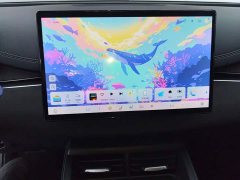 BYD Dolphin 06 DM-i Touring DM-i 80KM Luxury Edition - ფოტო 13
