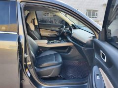 Changan CS55 Plus 2nd Generation 1.5T DCT Premium - ფოტო 8