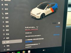 Tesla Model Y 2021 Performance All-Wheel Drive - ფოტო 11