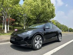 Tesla Model Y Rear-Wheel Drive - ფოტო 1