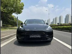 Tesla Model Y Rear-Wheel Drive - ფოტო 2