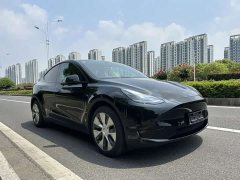 Tesla Model Y Rear-Wheel Drive - ფოტო 3