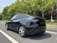 Tesla Model Y Rear-Wheel Drive - ფოტო 4