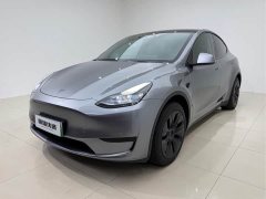 Tesla Model Y Rear-Wheel Drive - ფოტო 1
