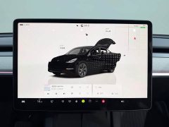 Tesla Model Y Rear-Wheel Drive - ფოტო 12
