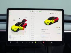 Tesla Model Y Rear-Wheel Drive - ფოტო 18