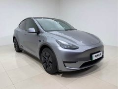 Tesla Model Y Rear-Wheel Drive - ფოტო 3