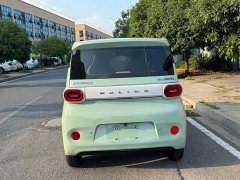 BMW Hongguang MINIEV Third Generation 215km Advanced Edition - ფოტო 6