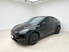 Tesla Model Y Long Range All-Wheel Drive - ფოტო 1