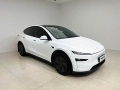 Tesla Model Y Rear-Wheel Drive - ფოტო 3