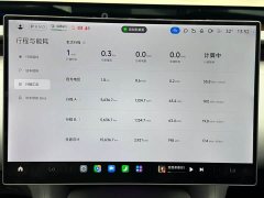 Xiaomi YU7 Rear-Wheel Drive Long-Range Edition - ფოტო 8