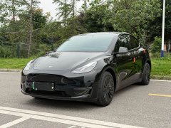 Tesla Model Y Standard Range RWD - ფოტო 1