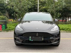 Tesla Model Y Standard Range RWD - ფოტო 2