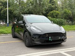 Tesla Model Y Standard Range RWD - ფოტო 3