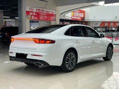 Geely Xingui Xingrui 2.0T Diesel Luxury - ფოტო 9