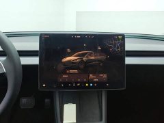 Tesla Model 3 Rear-Wheel Drive - ფოტო 13