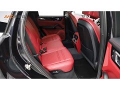 Porsche Cayenne New Energy Cayenne E-Hybrid 2.0T Platinum Edition - ფოტო 8
