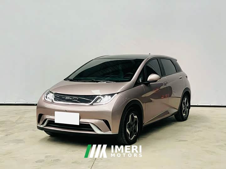 BYD Dolphin 405km Fashion Edition - ავტომობილი ჩინეთიდან