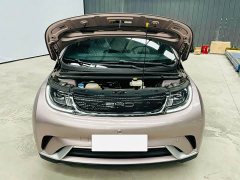 BYD Dolphin 405km Fashion Edition - ფოტო 12