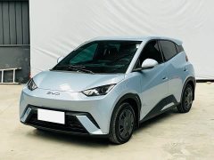 BYD Seagull 305km Vitality Edition - ფოტო 1